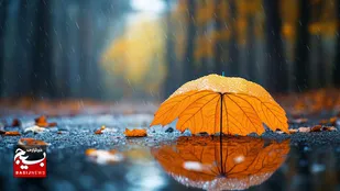 تغییرات اقلیمی و چالش بیداری زودرس درختان