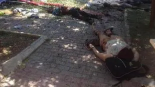 حادثه سروج ثمره سیاست های غلط اردوغان در قبال سوریه است