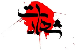 شهادت دو نفر از ماموران یگان امداد در کوار/ دستگیری ضارب در محل ارتکاب جرم