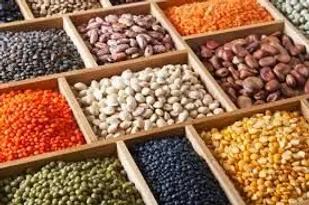 صدور ۱۸ فقره جواز تاسیس صنایع غذایی و تبدیلی کشاورزی در استان قزوین&nbsp;