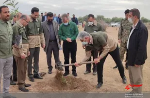 کاشت یک هزار نهال به نیابت از هر شهید در خوزستان