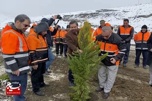 کاشت ۸۰۰ نهال کم&zwnj;آب&zwnj;بر در حاشیه جاده&zwnj;های همدان به مناسبت روز درختکاری&nbsp;