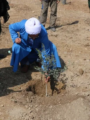 کاشت نهال مثمر توسط فرماندهی لشکر مسئول نمایندگی و مسئول حفاظت اطلاعات