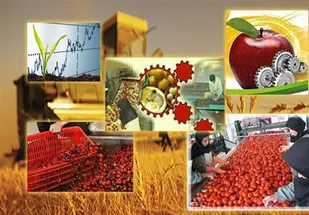 کشاورزی استان مرکزی ظرفیتی عظیم برای اشتغال&zwnj; زایی و ارزآوری/رشد 20 درصدی صنایع تبدیلی در دولت سیزدهم