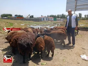برگزاری اردوی جهادی دامپزشکی در شهرستان&zwnj;های ساوجبلاغ و طالقان