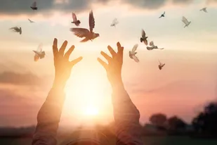 اجرای پویش&laquo;مادر می&zwnj;آید&raquo; برای آزادسازی مادران زندانی با جرائم غیرعمد در گیلان