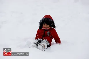 بارش برف چهره همدان را سفیدپوش کرد