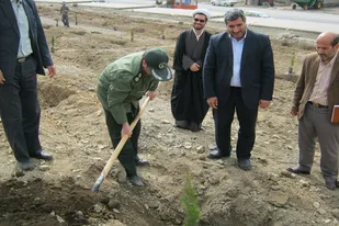 کاشت نهال توسط بسیجیان در ملایر