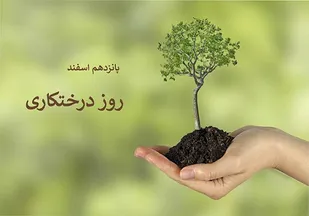 جزئیات توزیع نهال رایگان در بین شهروندان قمی