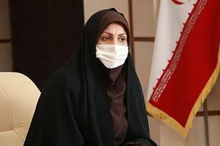 135 هزار هکتار از مزارع کشاورزی استان به زیر کشت گندم رفت
