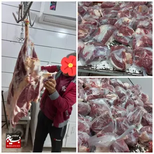 توزیع گوشت بین نیازمندان در بهبهان