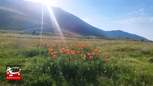 دمای هوا در اردبیل افزایش می&zwnj;یابد