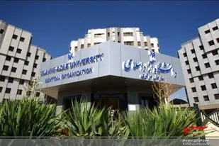 واکنش دانشگاه آزاد به درگذشت یک استاد دانشگاه در پی حمله سگهای ولگرد