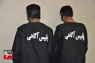برادران کلاهبردار روانه زندان شدند