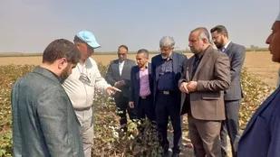 استفاده از ظرفیت&zwnj;های قانون برای کمک به توسعه کشاورزی حفاظتی در گلستان