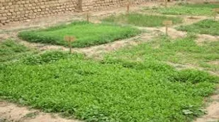 آموزش بیش از دو هزار نفر از زنان روستایی استان در طرح بهبود تغذیه
