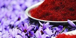 75 درصد زعفران تولیدی مصرف داخلی ندارد
