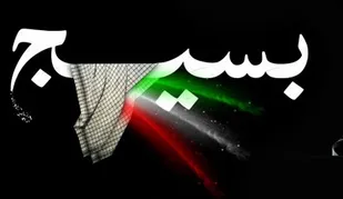 بسیج سیاسی است اما سیاسی کار نیست