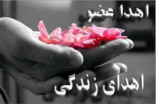 اشاعه فرهنگ اهدای عضو نجات جان انسان&zwnj;هاست