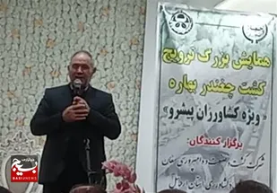 کشت چغندرقند در ۲۰۰۰ هکتار اراضی دشت اردبیل