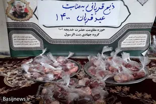 توزیع بسته&zwnj;های معیشتی و ذبح ۸ رأس گوسفند توسط گروه&zwnj;های جهادی همدان