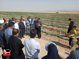 افتتاح یک طرح آبیاری قطره&zwnj;ای در شهرستان هفتکل
