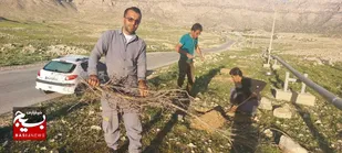 طرح جهادی آبیاری نهال های  کاشته شده در روستای الیف