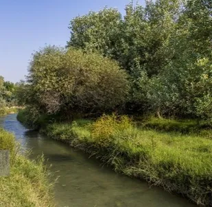 بررسی ۷۰ پرونده تصرف غیرقانونی در محدوده پارک ملی دز