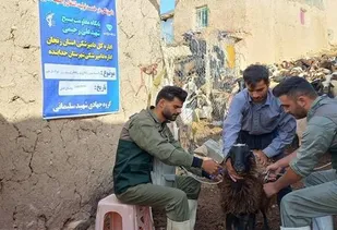 برگزاری اردوی جهادی دامپزشکی به مناسبت سالروز آزادسازی خرمشهر در شهرستان خدابنده