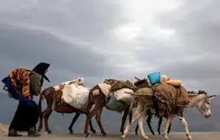 کوچ تابستانی عشایر به مراتع سهند