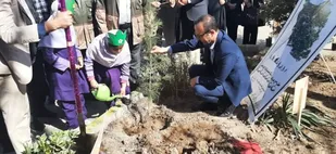 نواختن زنگ درختکاری در شاهرود