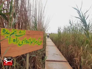 ۴۵۰ دانشجو راهی سرزمین نور شدند
