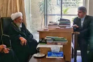 وزیر فرهنگ و ارشاد اسلامی با آیت الله ناصری دیدار کرد