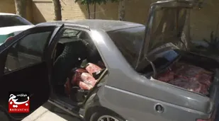 گوشت دام غير بهداشتی به مقصد نرسيد