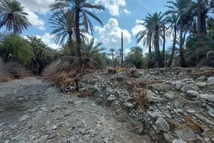 بازدید معاون آب وخاک وزارت جهادکشاورزی از خسارات سیل اخیر در شهرستان های قصرقند و نیکشهر