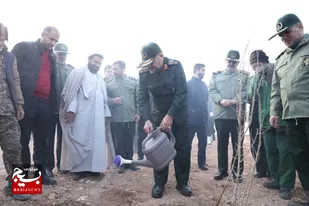 جشن درختکاری
