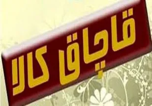 اختصاص بیشترین حجم قاچاق کالا به لوازم خانگی
