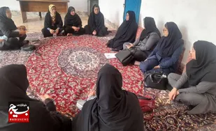 کارگاه نقش زنان در توسعه اقتصادی پایدار در زاهدان برگزار شد