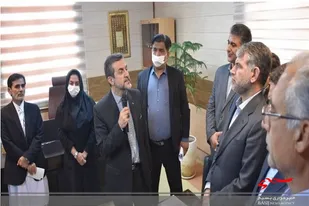 از توسعه نخلستان و باغات میوه&zwnj;های گرمسیری در سیستان و بلوچستان حمایت می&zwnj;شود
