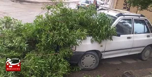 تندباد خوزستان را درنوردید/آبگرفتگی برخی مناطق اهواز