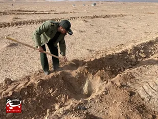 اردوی جهادی کاشت درخت در قم