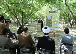 دعوت امام جمعه ایلام از باغداران برای شرکت در طرح شجره طیبه