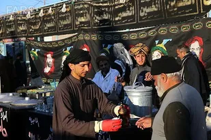 توصیه&zwnj;های طب سنتی برای زائران پیاده اربعین حسینی/ زائران دردهای مفصلی ناشی از پیاده&zwnj;روی را با روغن سیاهدانه التیام دهند