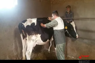 اردوی جهادی دانشجویان و تیم دامپزشکی در روستای کسب ملایر
