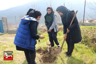کاشت نهال به نیابت از 117شهید شهرستان سوادکوه شمالی در منطقه لفور