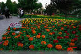 درخواست جذب ۵۰ میلیارد تومان اعتبار برای احداث گلخانه&zwnj;ها و کشت گیاهان دارویی در لرستان