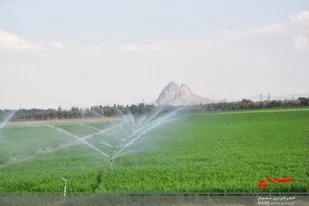 تجهیز بیش از ٧ هزار هکتار اراضی کشاورزی سیستان و بلوچستان به سیستم&zwnj;های نوین آبیاری