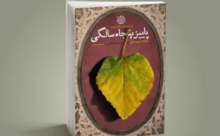 از کتاب "پنجاه سالگی"رونمایی می شود/ پیگیری های حاج قاسم برای تدوین و چاپ