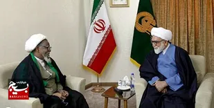 شیخ زکزاکی الگوی صبر و مقاومت برای مجاهدان عرصه تبلیغ دین است