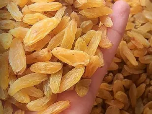 کف قیمت کشمش زرد خلیل آباد کیلویی ۲۳ هزار و ۵۰۰ تومان